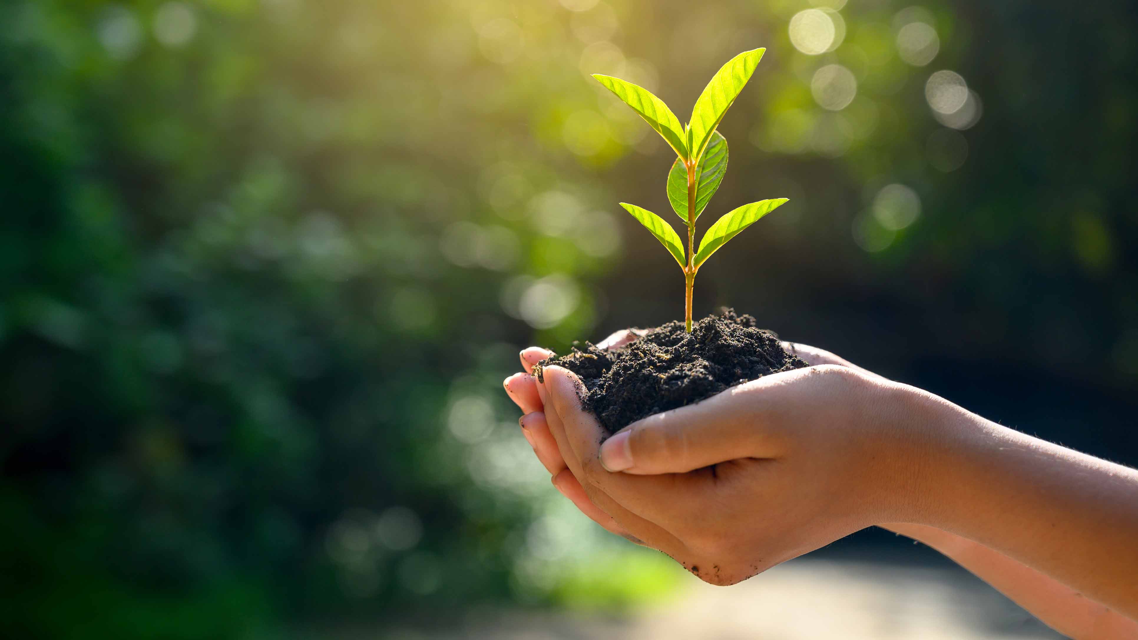 Sustentabilidade na Construção Civil