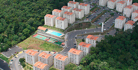 Green Land - imagem - 1